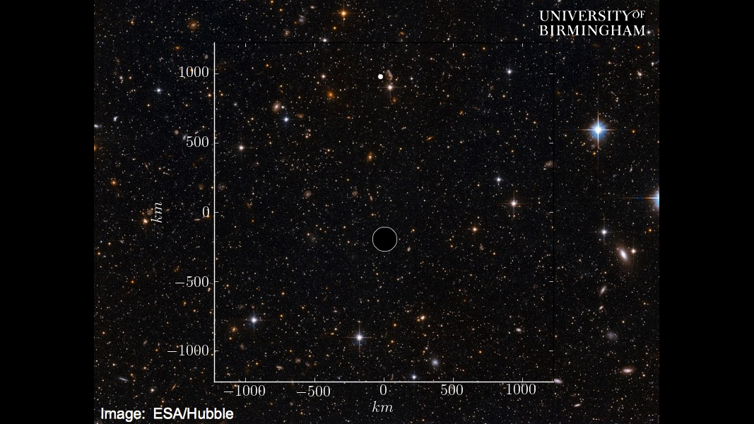 The coalescence of a Neutron Star and Black Hole