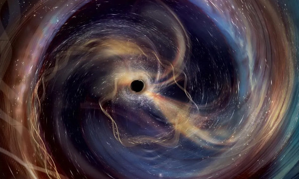 Ringing Rotating Black Hole Image