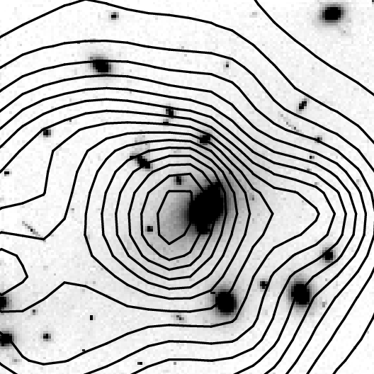 X-ray sources in Abell 0209