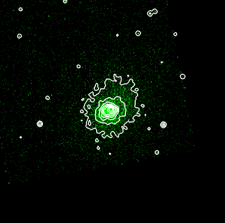 X-ray sources in Abell 0209