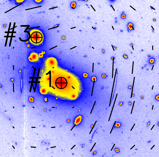 Shear map of Abell 2219