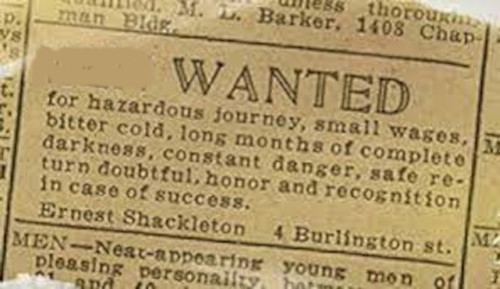 Wanted Advert